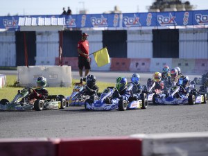 Year in Review 2015: Micro ROK